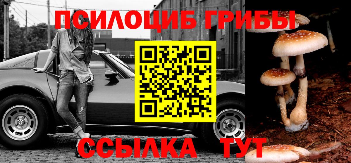 Псилоцибиновые грибы Cubensis  Вход с VPN  Елец  Псилоцибиновые грибы Psilocybe 