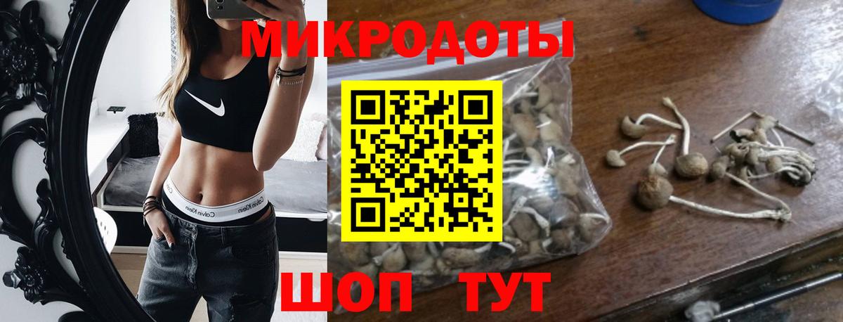 Псилоцибиновые грибы Psilocybine cubensis Елец